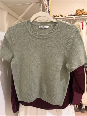 Abercrombie & Fitch Light Sage Green Short Sleeve Knit Top